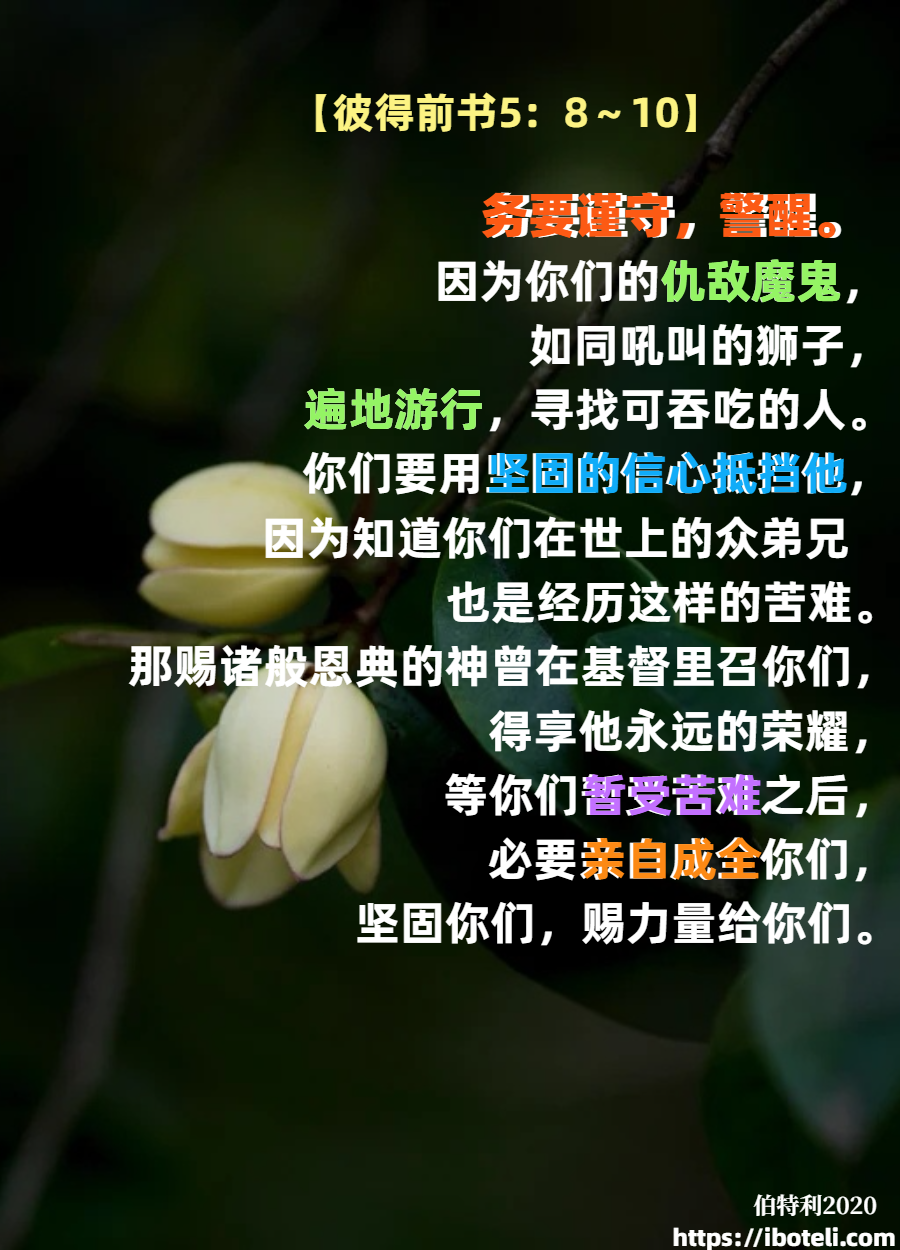 领会天父的心意（157）刚强起来