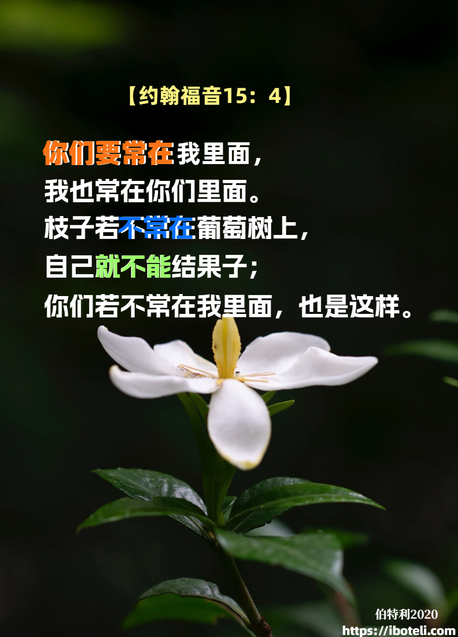 领会天父的心意（159）常在主里面