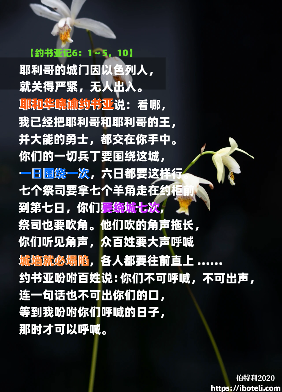 领会天父的心意（160）神人搭配，干活不累