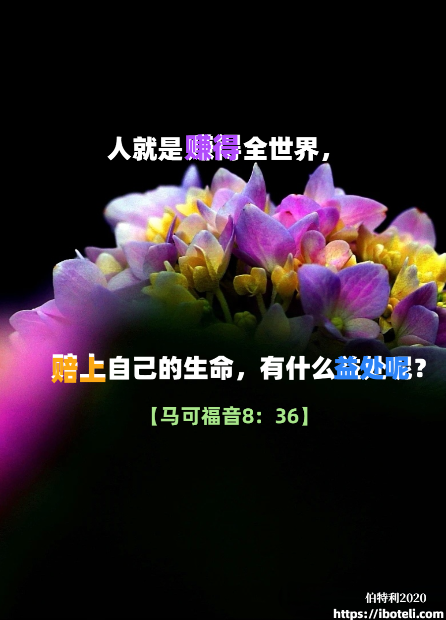 领会天父的心意（162）灵魂枯竭，损失何其大！
