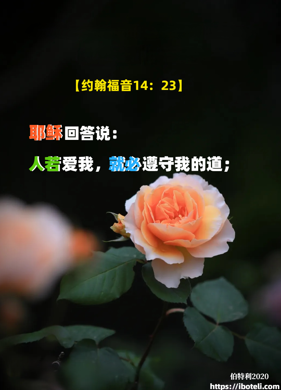 领会天父的心意（164）神道是人道的基础
