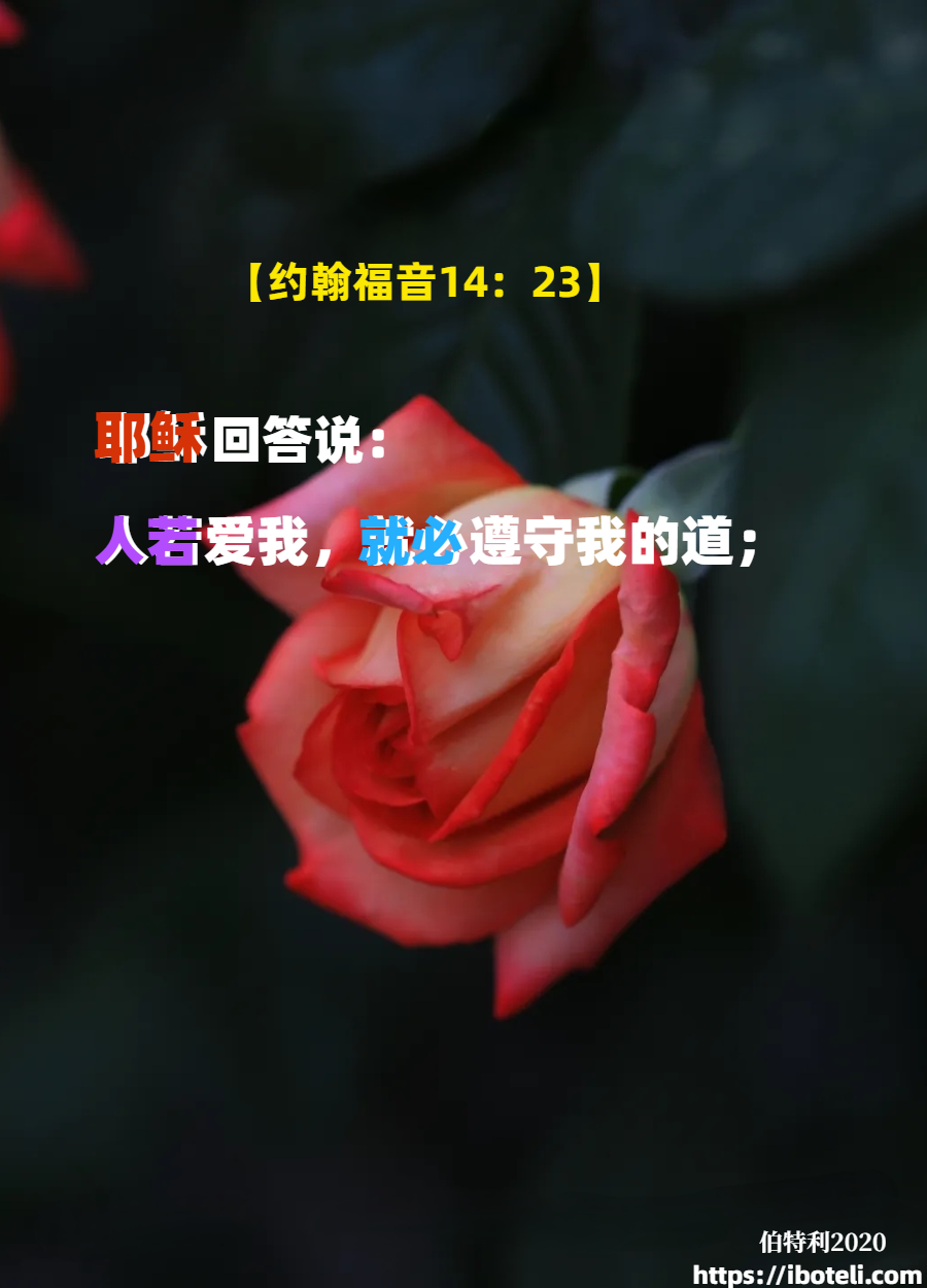 领会天父的心意（165） 爱神和爱人的平衡