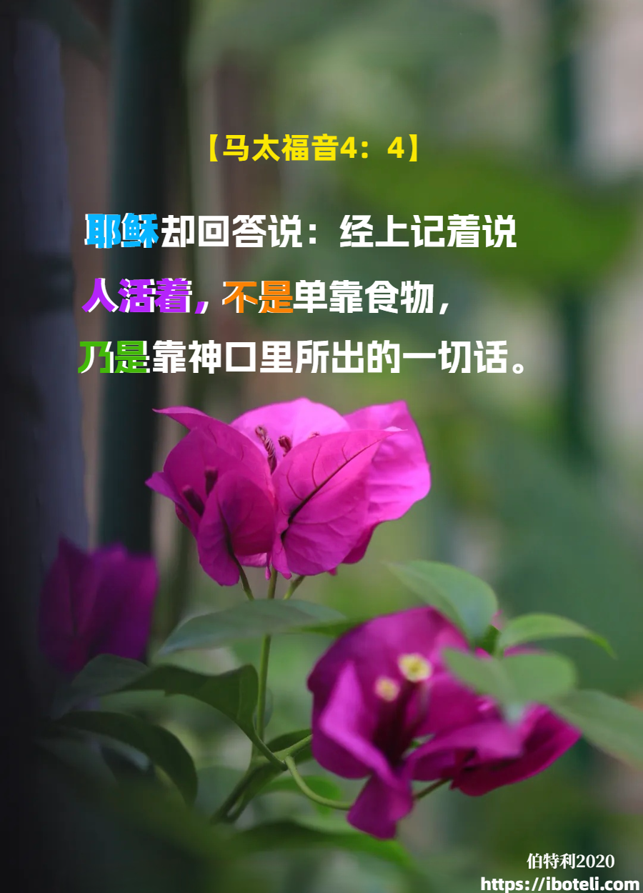 领会天父的心意（166） 物质生活与属灵生活追求的平衡