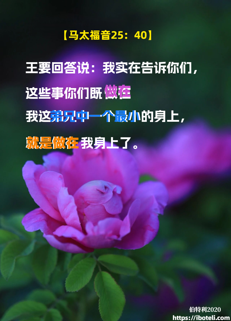 领会天父的心意（168） 我们有爱，世界有光
