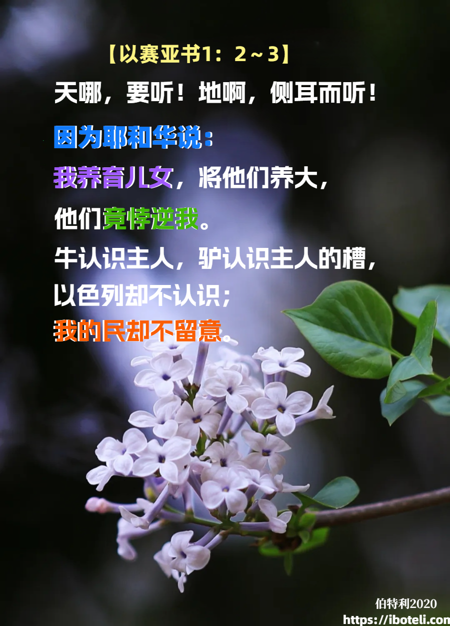 领会天父的心意（169） 更多认识神