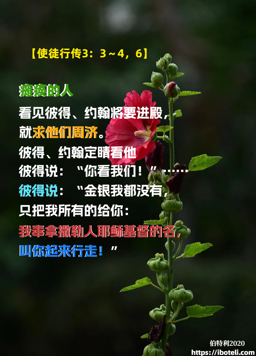 领会天父的心意（170） 成为世界的祝福