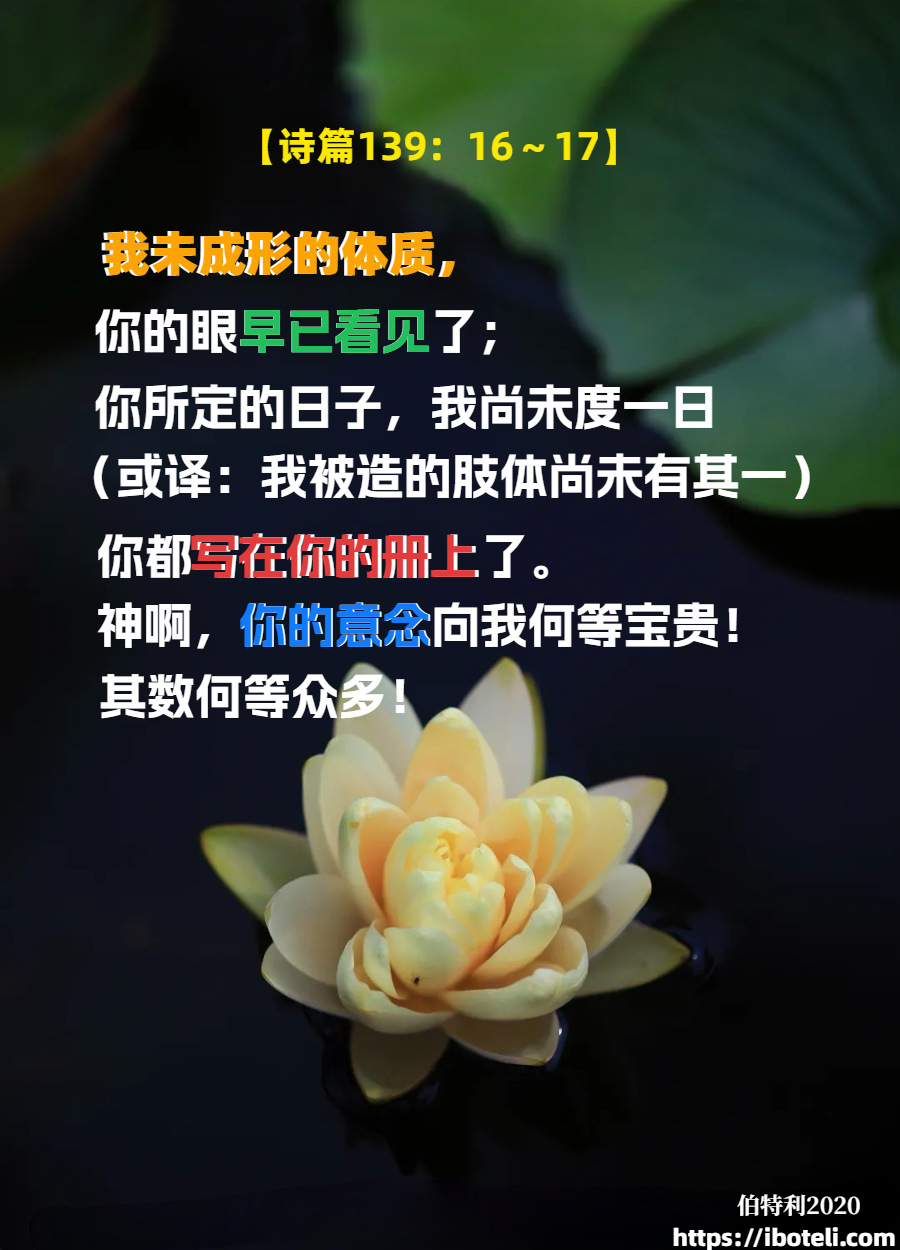 领会天父的心意（171） 每个人的生命价值连城