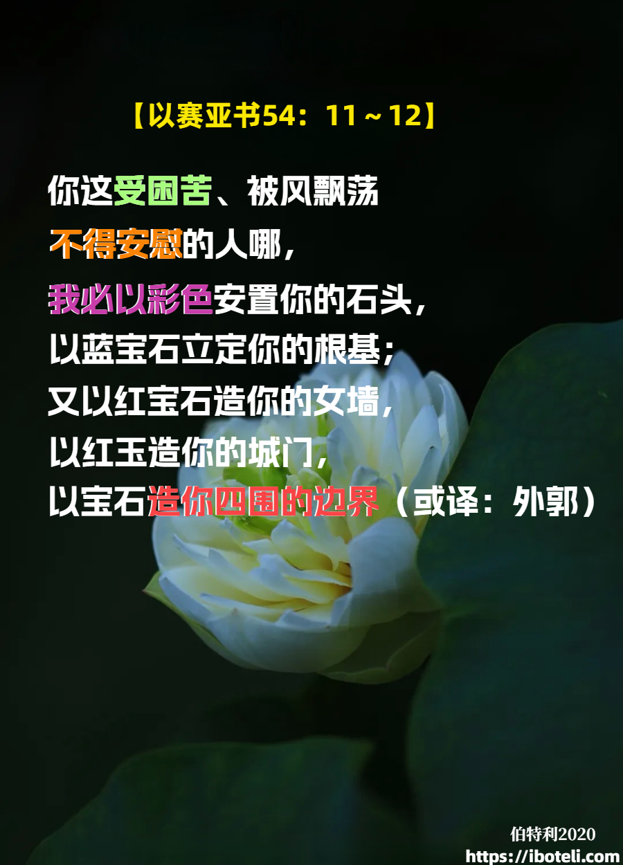 领会天父的心意（172） 每个人的生命尊贵无比（续上）