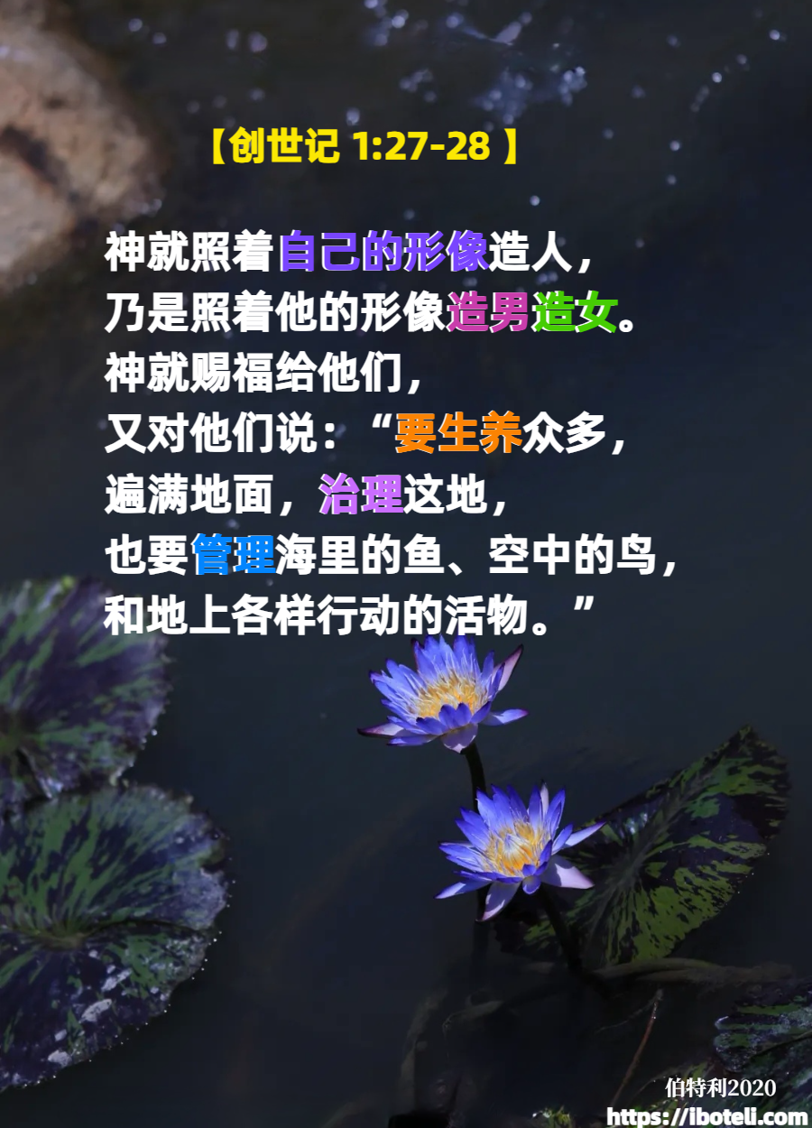 领会天父的心意（173） 生命从神来，生命很宝贵（续上） 　