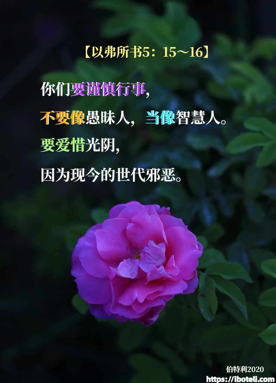 领会天父的心意（174） 不负光阴不负主