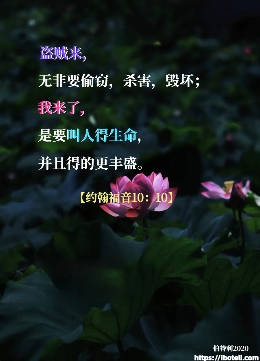 领会天父的心意（175） 得生命，并且得丰盛的生命
