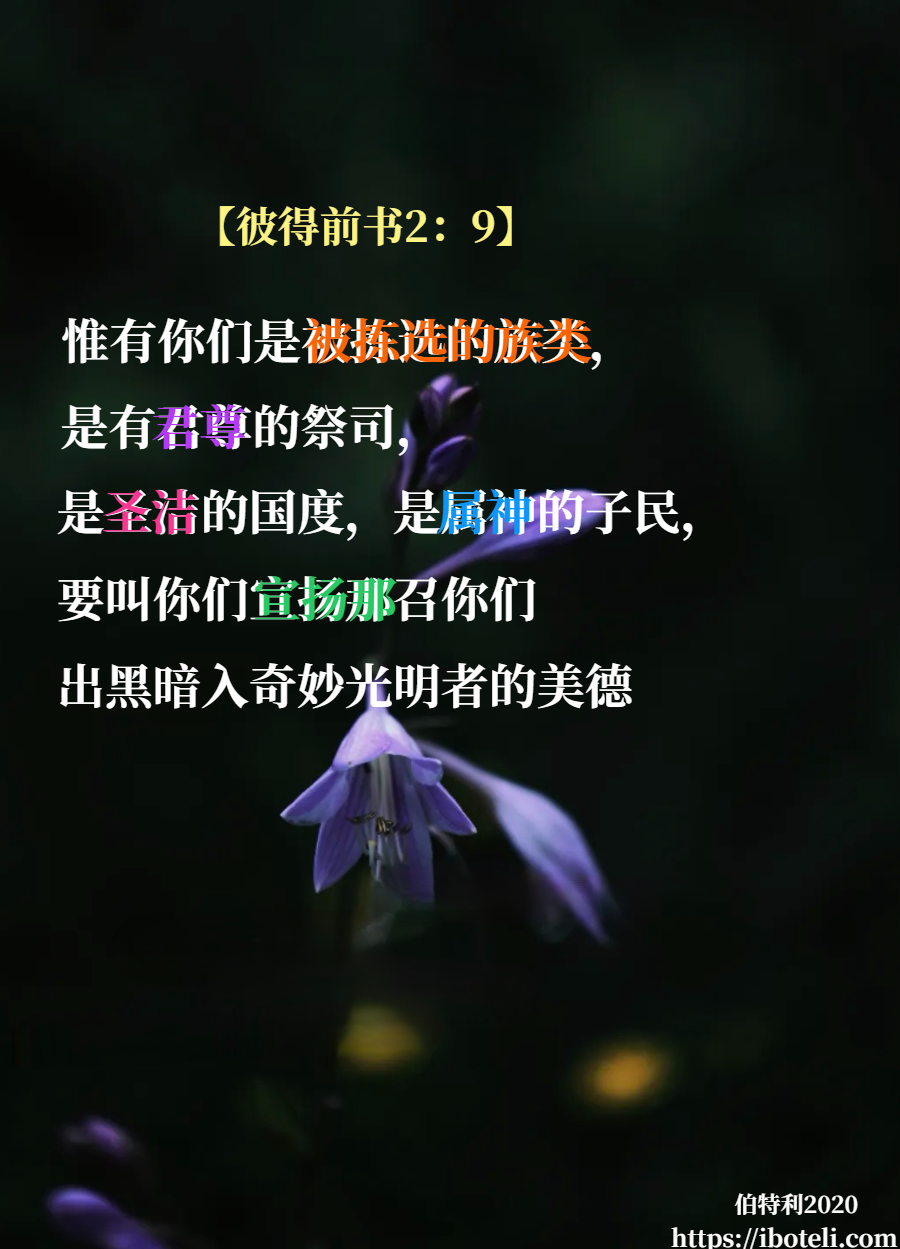 领会天父的心意（179） 我们是被拣选的族类