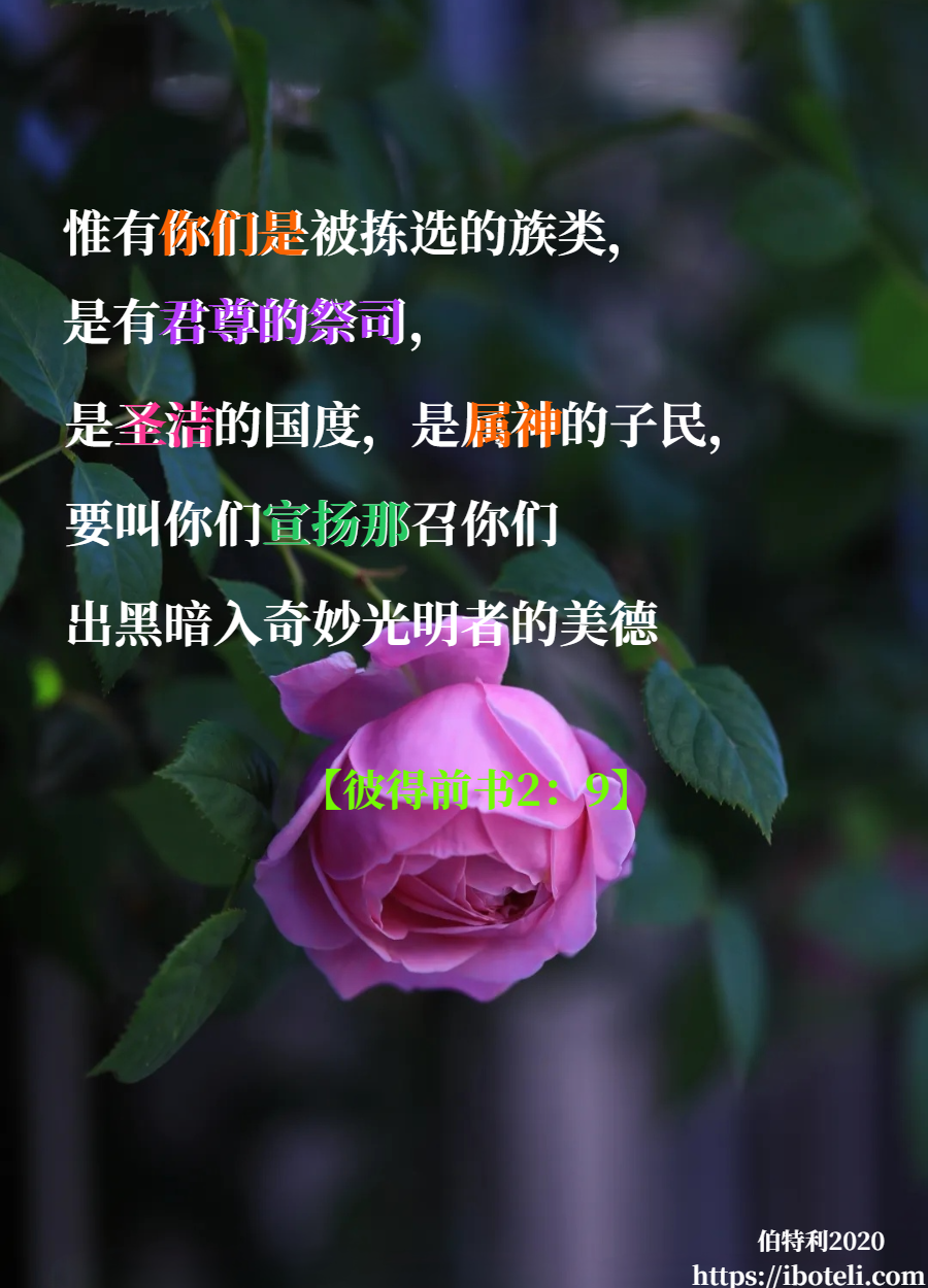 领会天父的心意（180） 我们是君尊的祭司