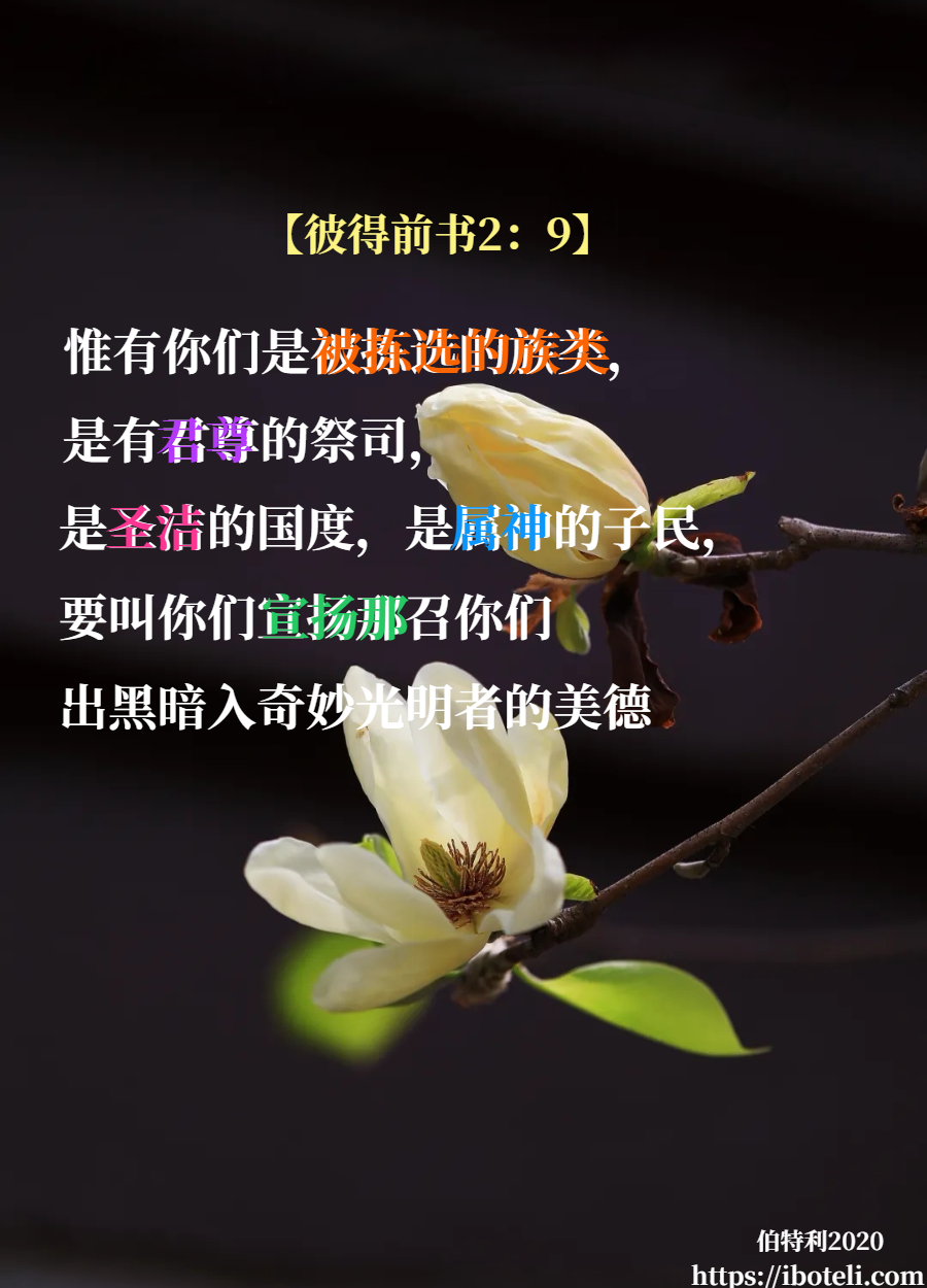 领会天父的心意（181） 我们是圣洁的国度