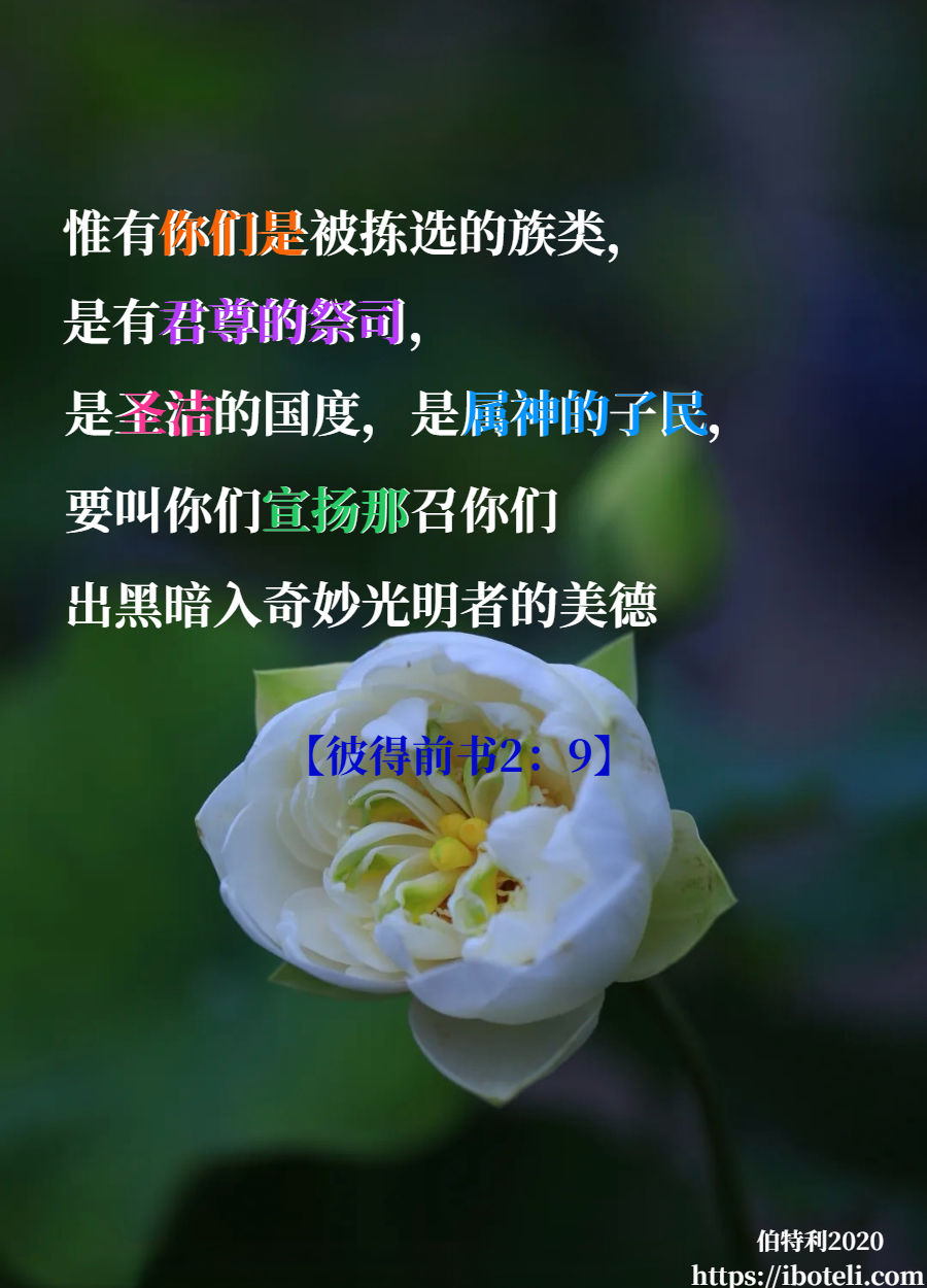 领会天父的心意（182） 我们是属神的子民