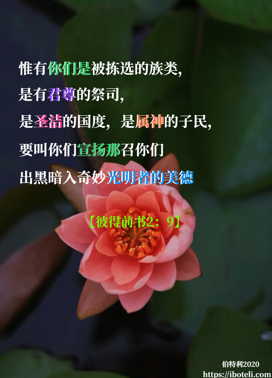领会天父的心意（183）宣扬那召我们出黑暗入奇妙光明者的美德