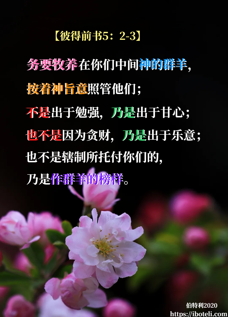 领会天父的心意（185） 教会的使者（续）
