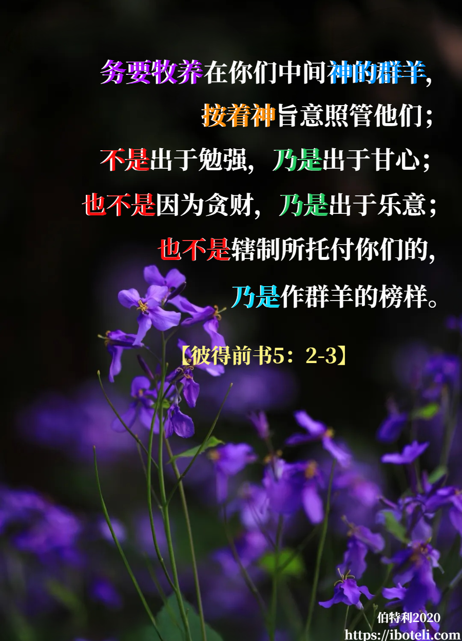 领会天父的心意（186） 教会的使者（续）