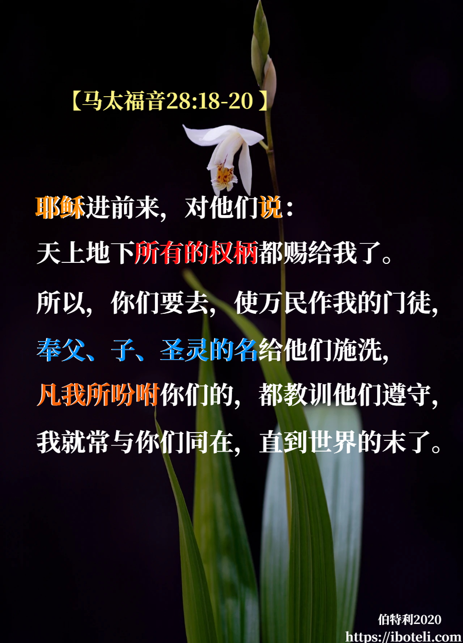 领会天父的心意（187） 胸怀使命，勇往直前