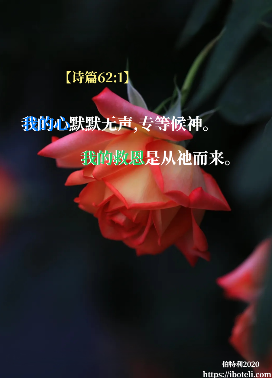 领会天父的心意（188） 专一等候祂