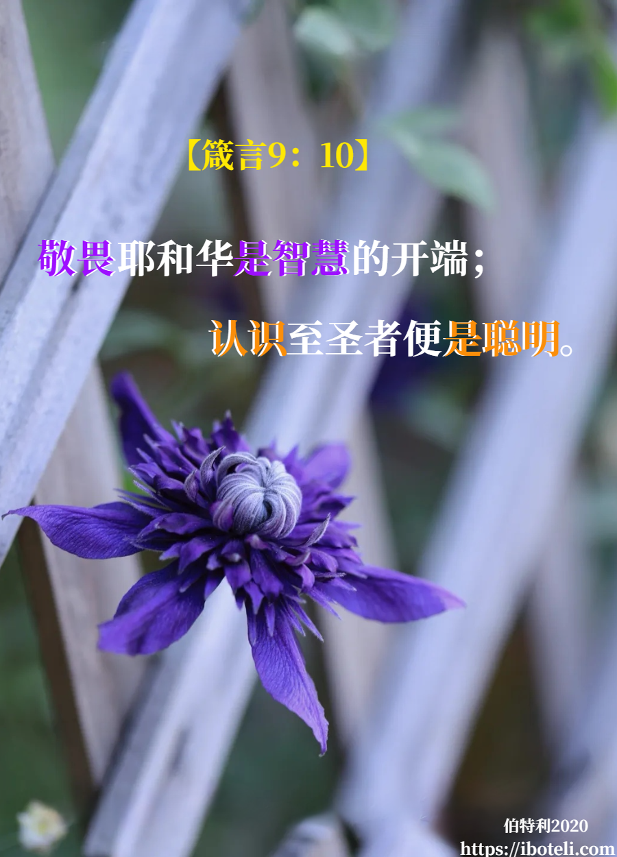 领会天父的心意（189） 为孩子祷告护航
