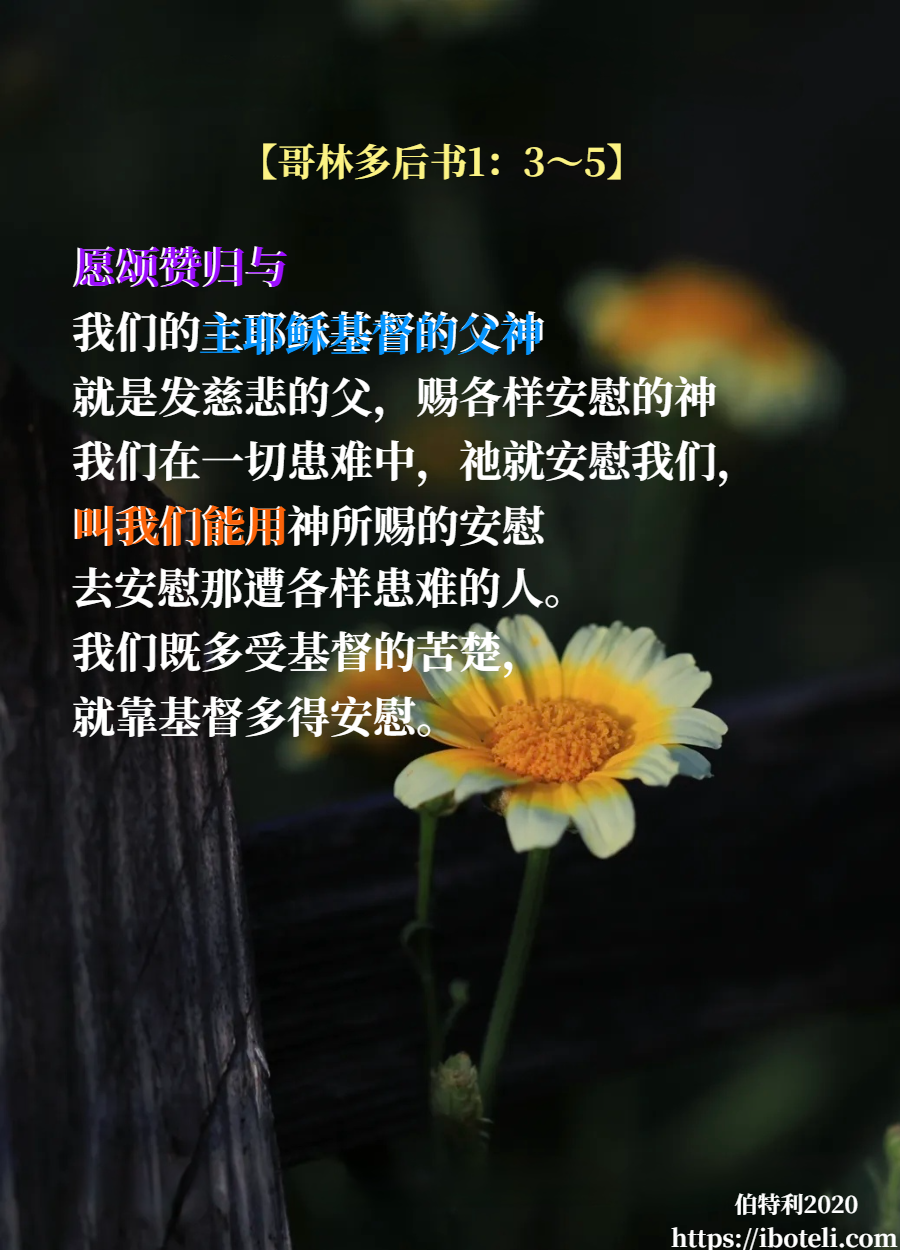 领会天父的心意（191） 经历创伤，收获成熟