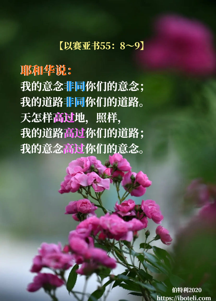 领会天父的心意（192） 祂的意念高过我们的意念