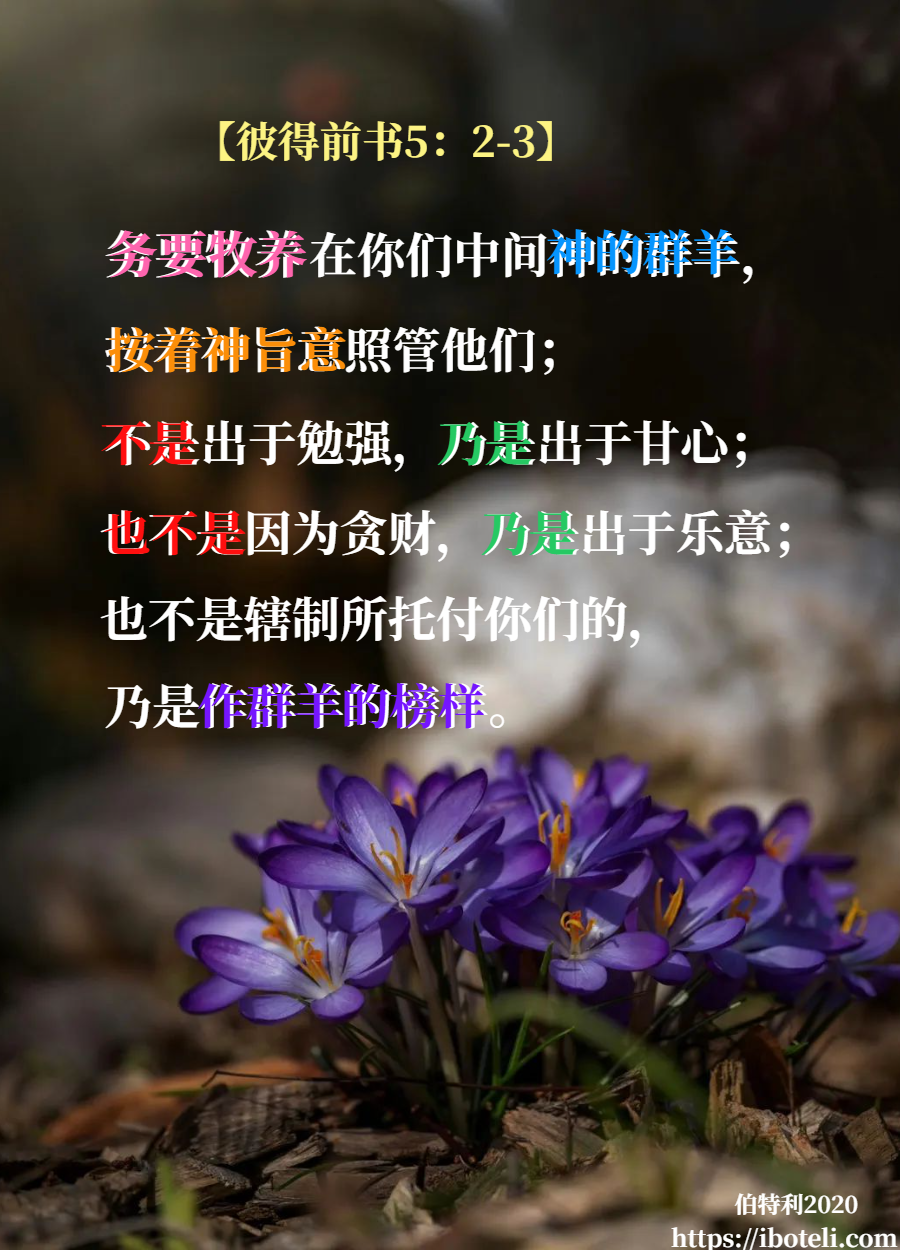 领会天父的心意（184） 教会的使者