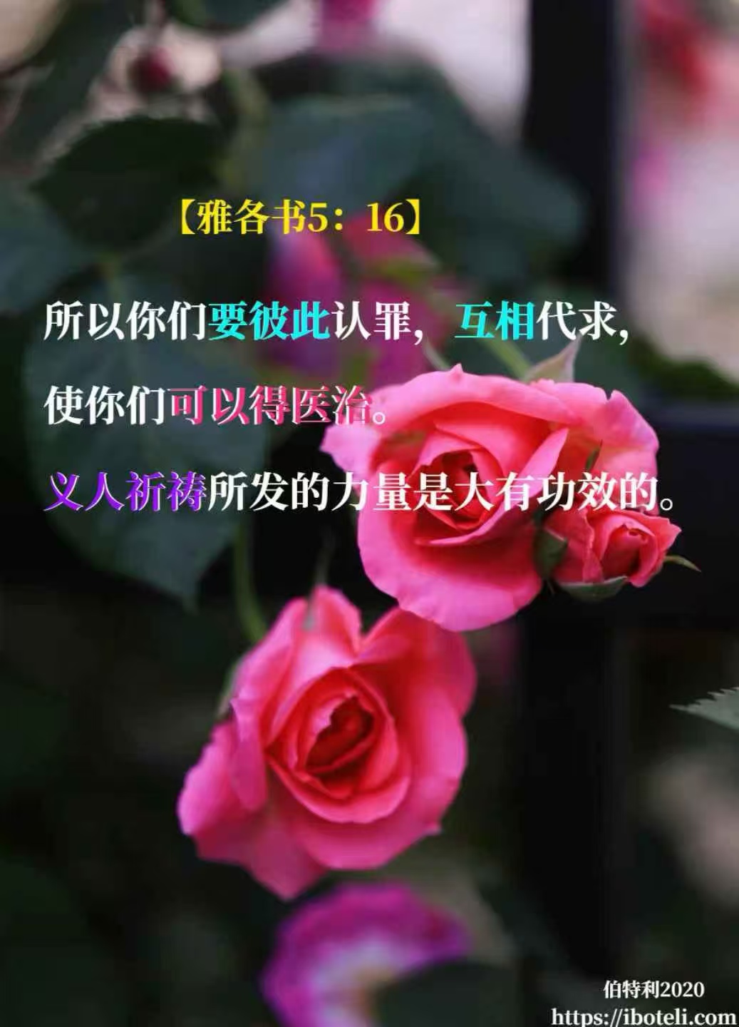 领会天父的心意（190） 为自己和家庭祷告护航