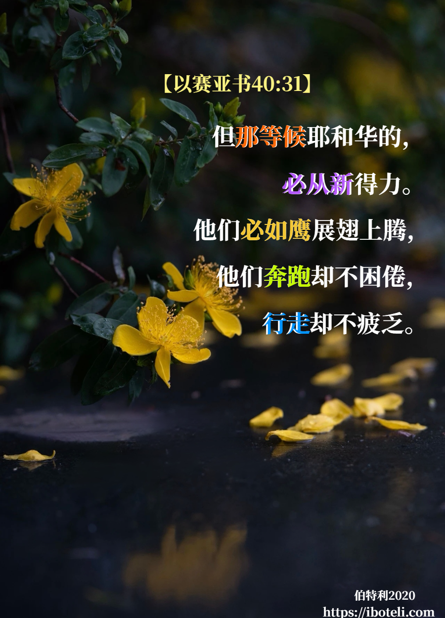 领会天父的心意（194） 等候祂的，如鹰展翅上腾