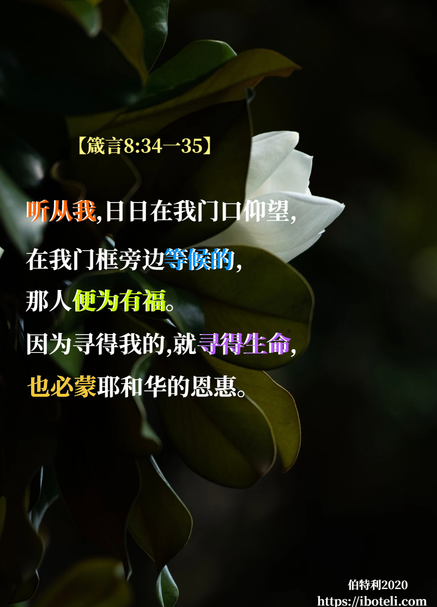 领会天父的心意（195） 寻求祂的，就寻得生命