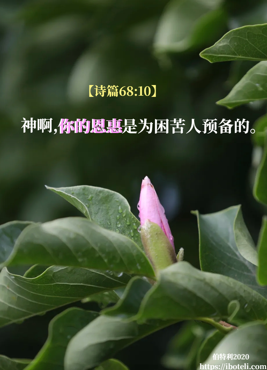 领会天父的心意（196） 领受恩惠，得以坚固
