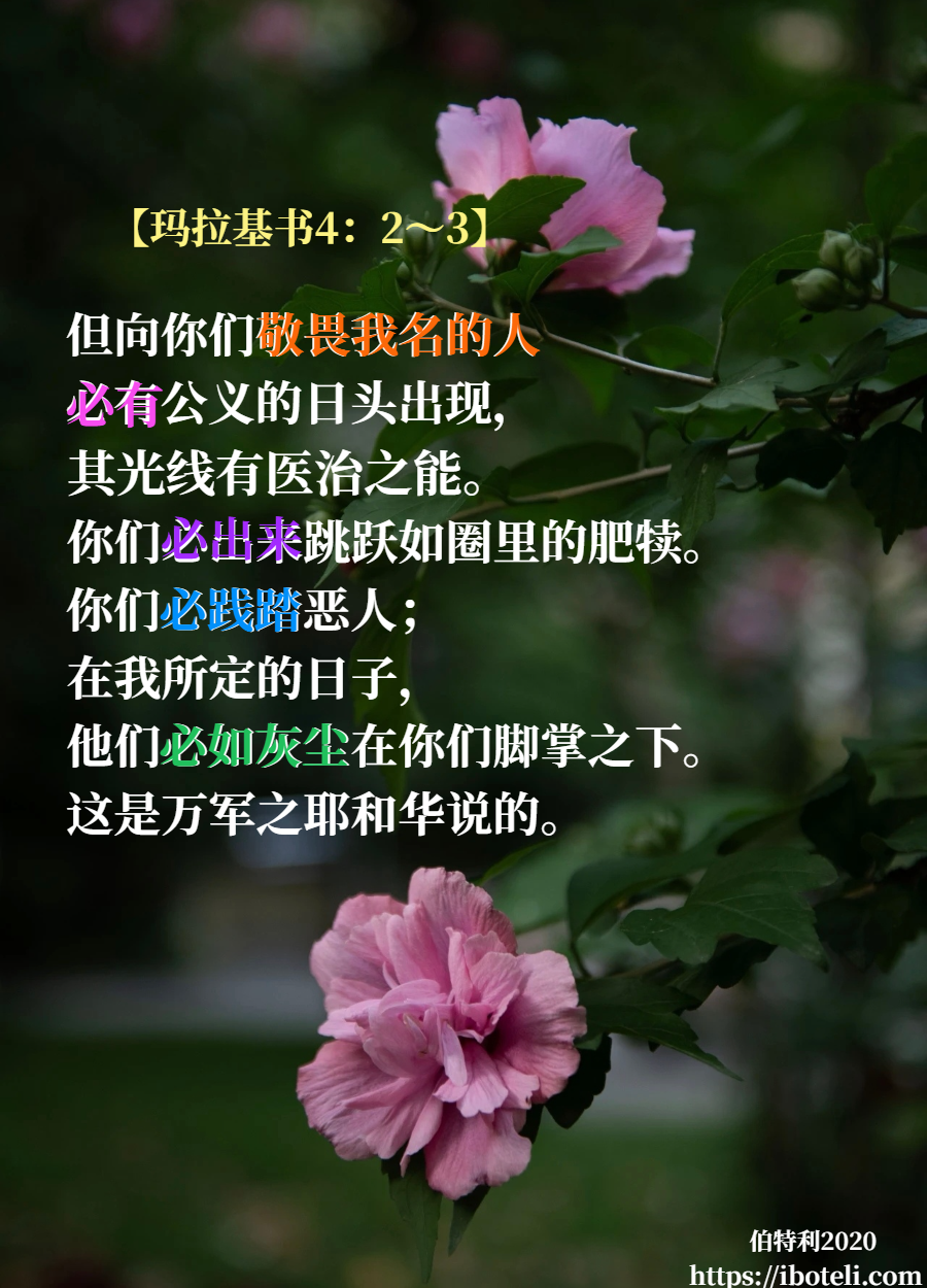 领会天父的心意（197） 践踏黑暗，领受医治