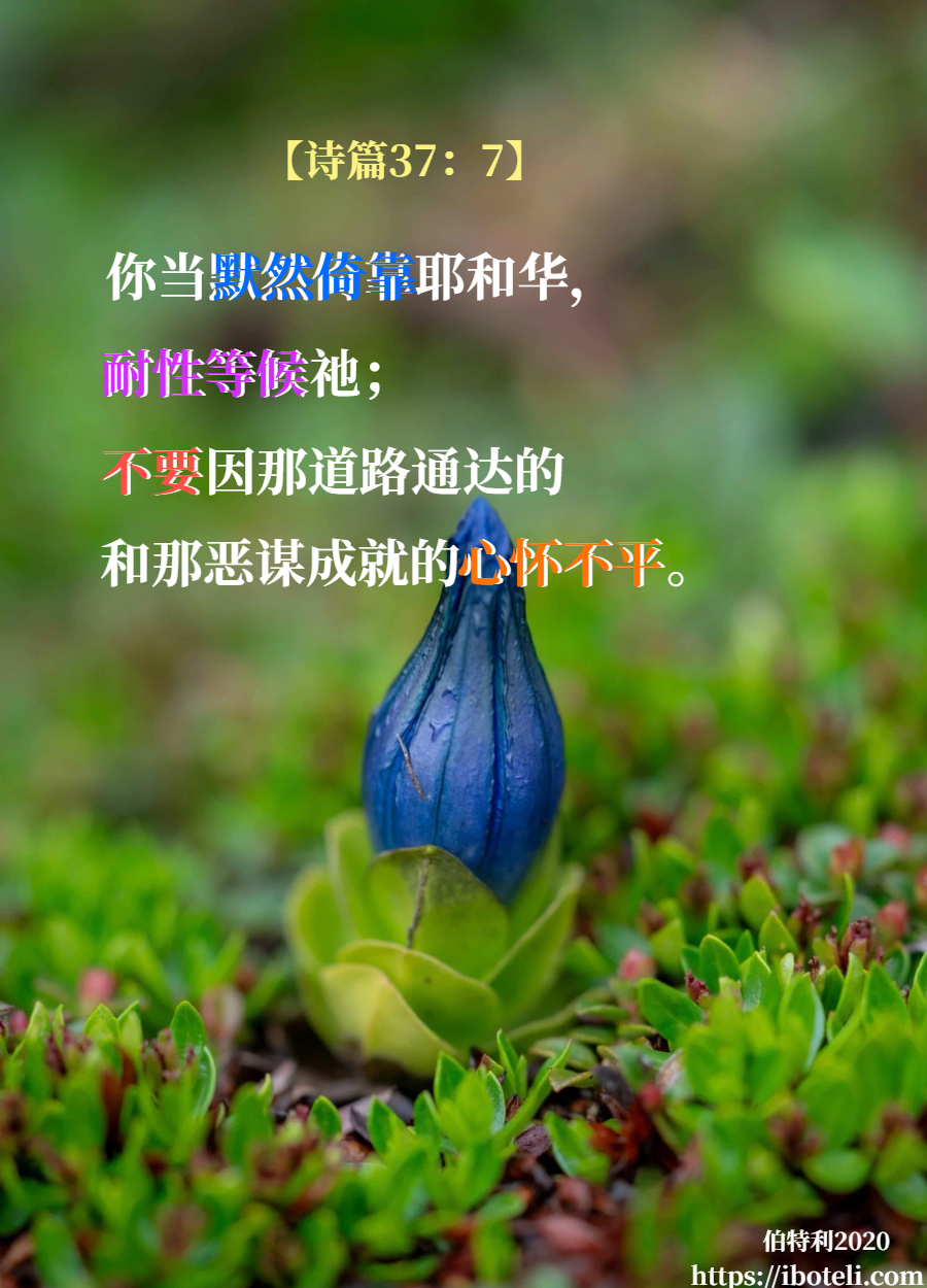 领会天父的心意（199） 默然依靠，耐性等候