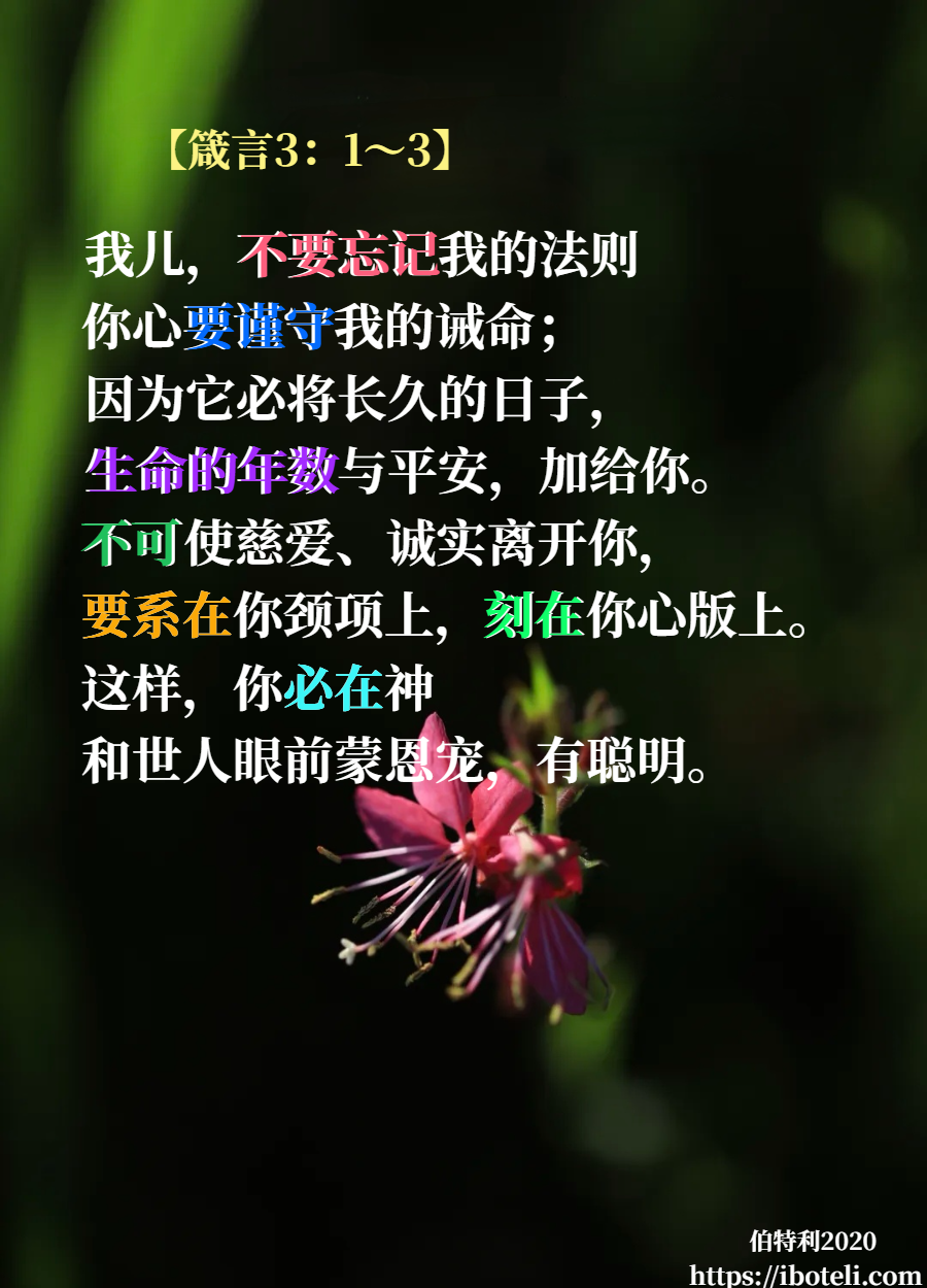 领会天父的心意（200） 活出慈爱诚实