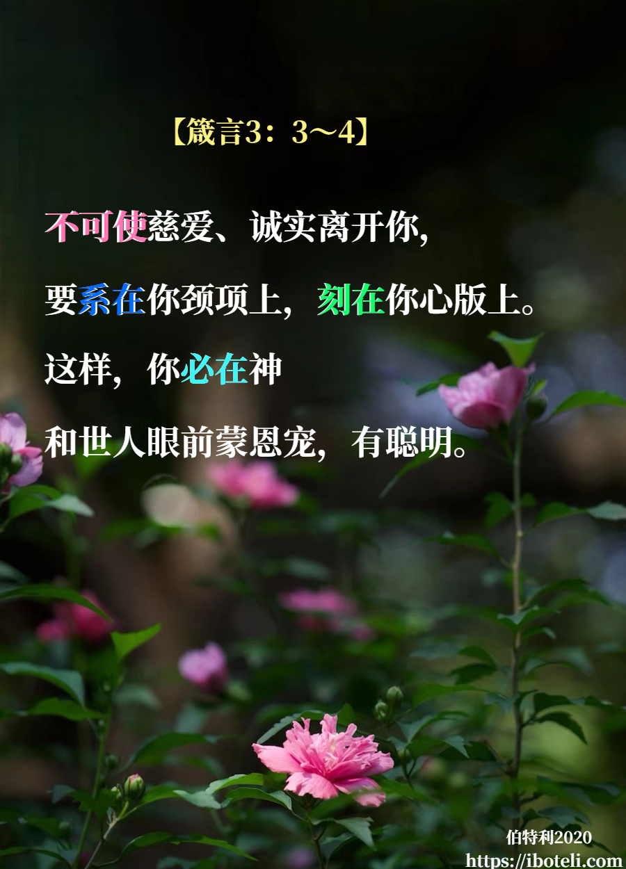 领会天父的心意（201） 光照小地方