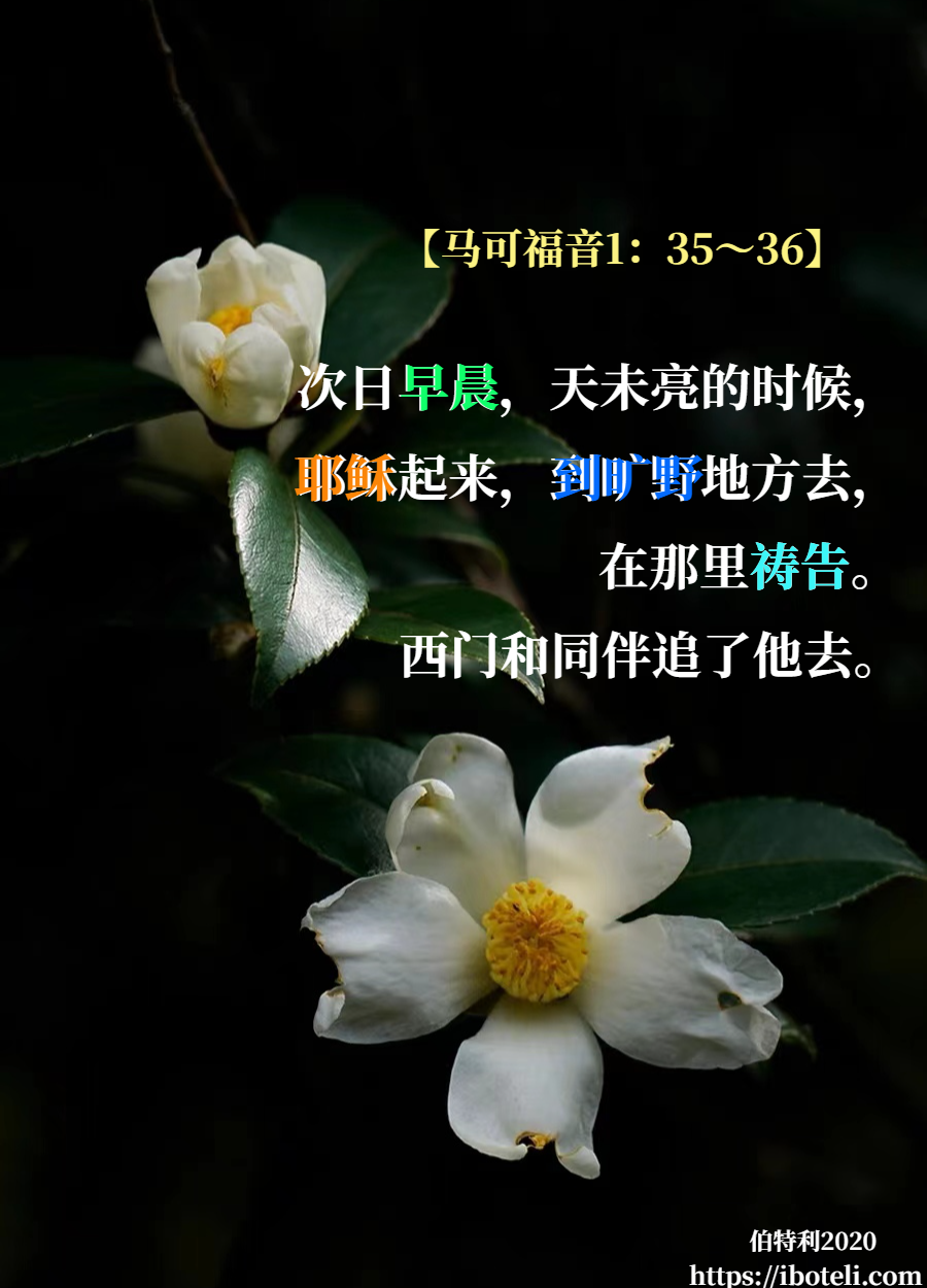 领会天父的心意（202） 早起调整心灵