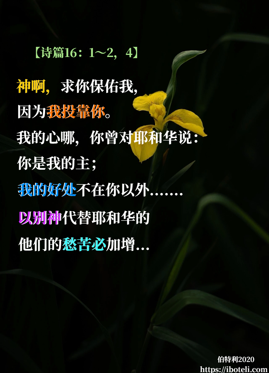 领会天父的心意（203） 我的好处不在祂以外