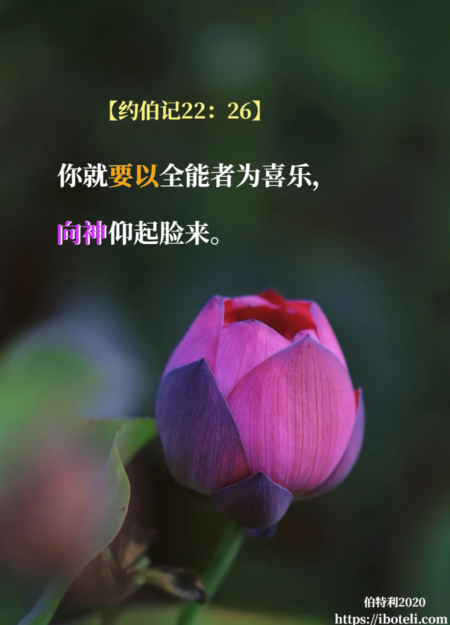 领会天父的心意（204） 以祂为乐，仰起脸来