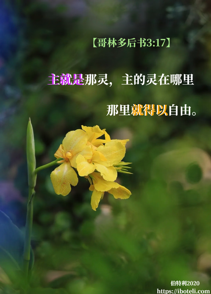 领会天父的心意（205） 亲近祂，领受得以自由的力量