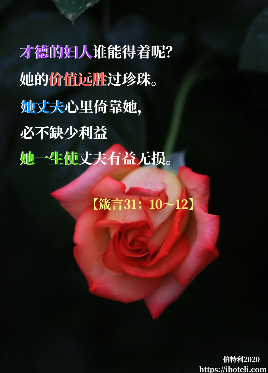领会天父的心意（206） 才德妇人，远胜珍珠