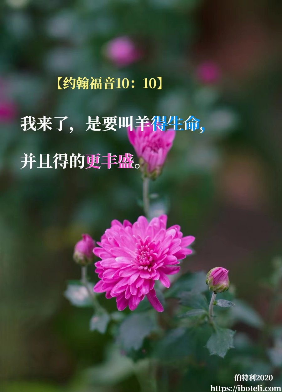 领会天父的心意（207） 经得起历练，生命更丰盛
