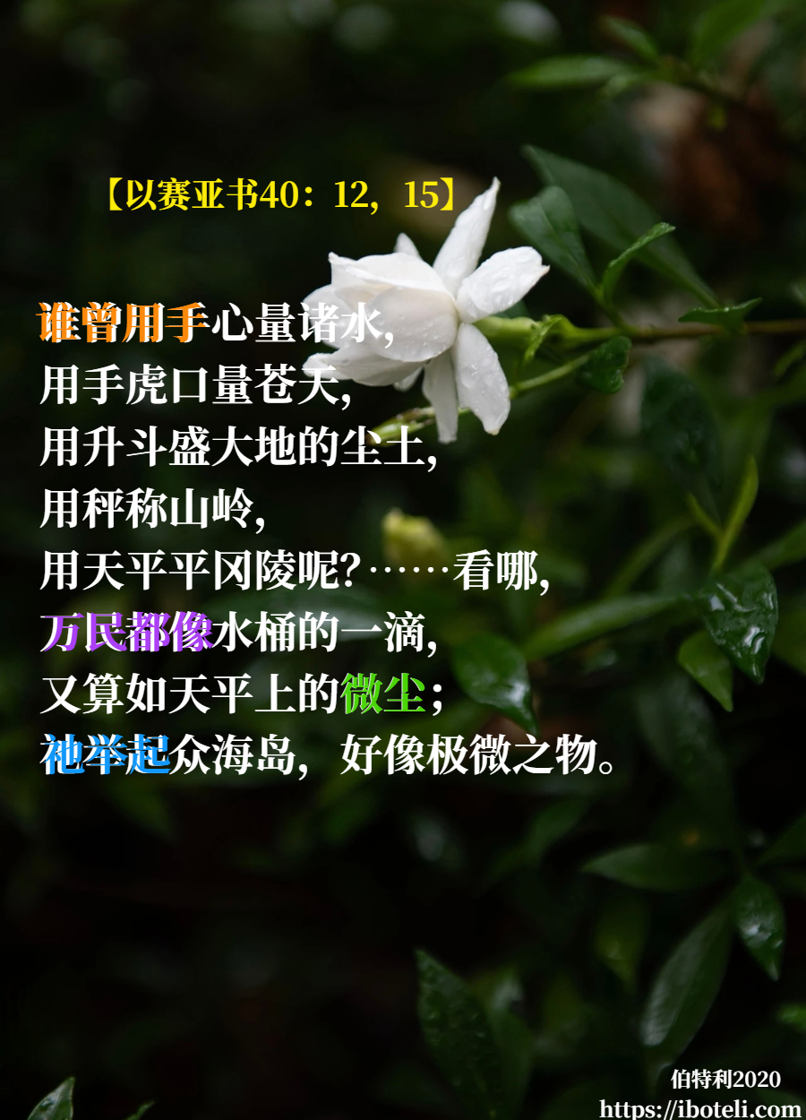领会天父的心意（208） 识己本相，尊荣上帝