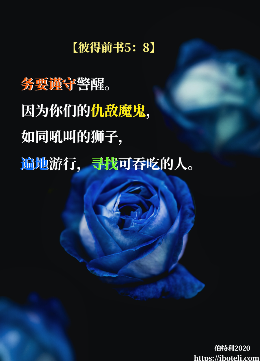 领会天父的心意（210） 奔向天父，领受保护