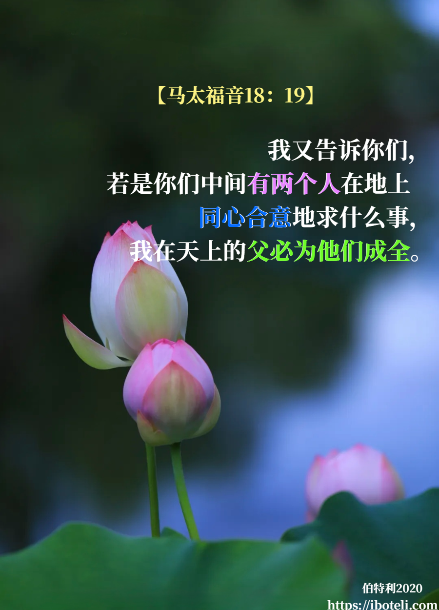 领会天父的心意（211） 彼此祝福，成为见证