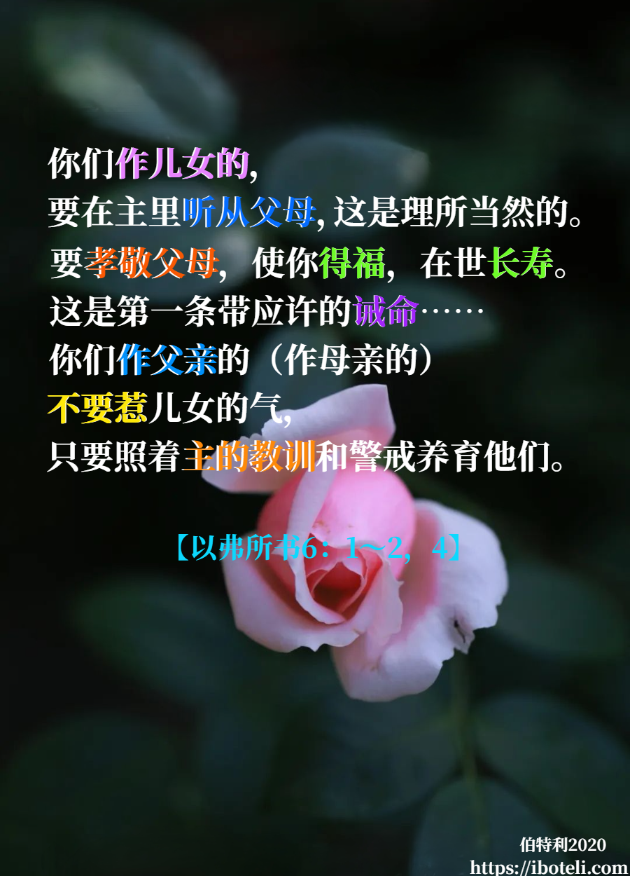 领会天父的心意（212） 不惹儿女的气，免得失了志气