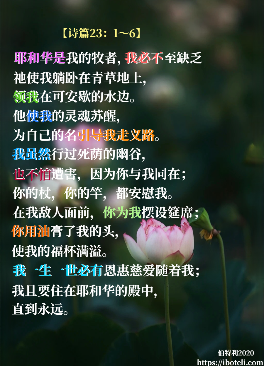 领会天父的心意（214） 耶和华是我的牧者