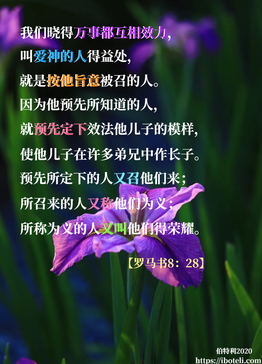 领会天父的心意（216） 万事为我效力！至终成为美好！