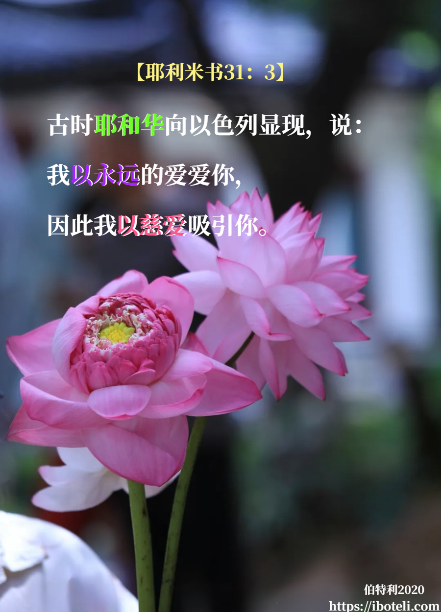 领会天父的心意（217） 别让次好的取代上好的！