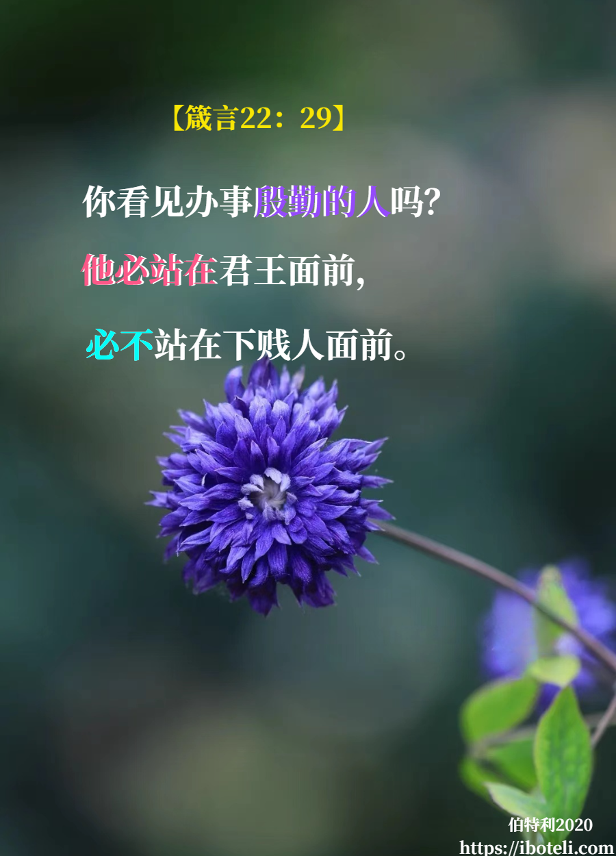 领会天父的心意（218） 殷勤不可懒惰！